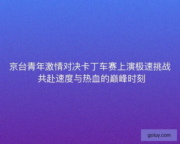 京台青年激情对决卡丁车赛上演极速挑战 共赴速度与热血的巅峰时刻